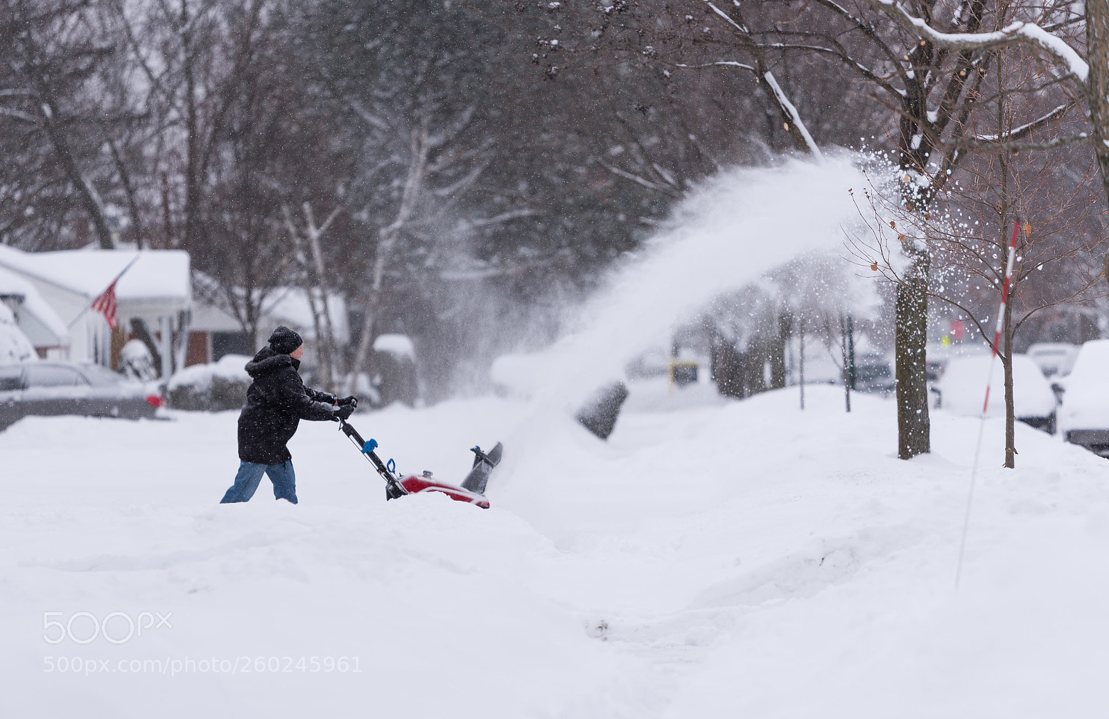Nikon D750 sample photo. Woman with a snow photography