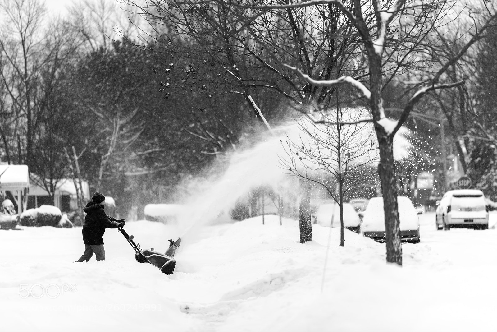 Nikon D750 sample photo. Woman with a snow photography