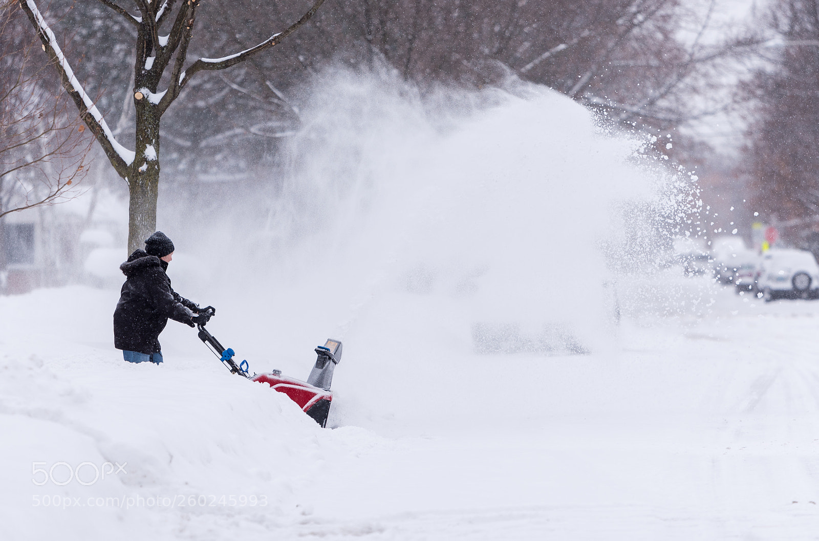 Nikon D750 sample photo. Woman with a snow photography