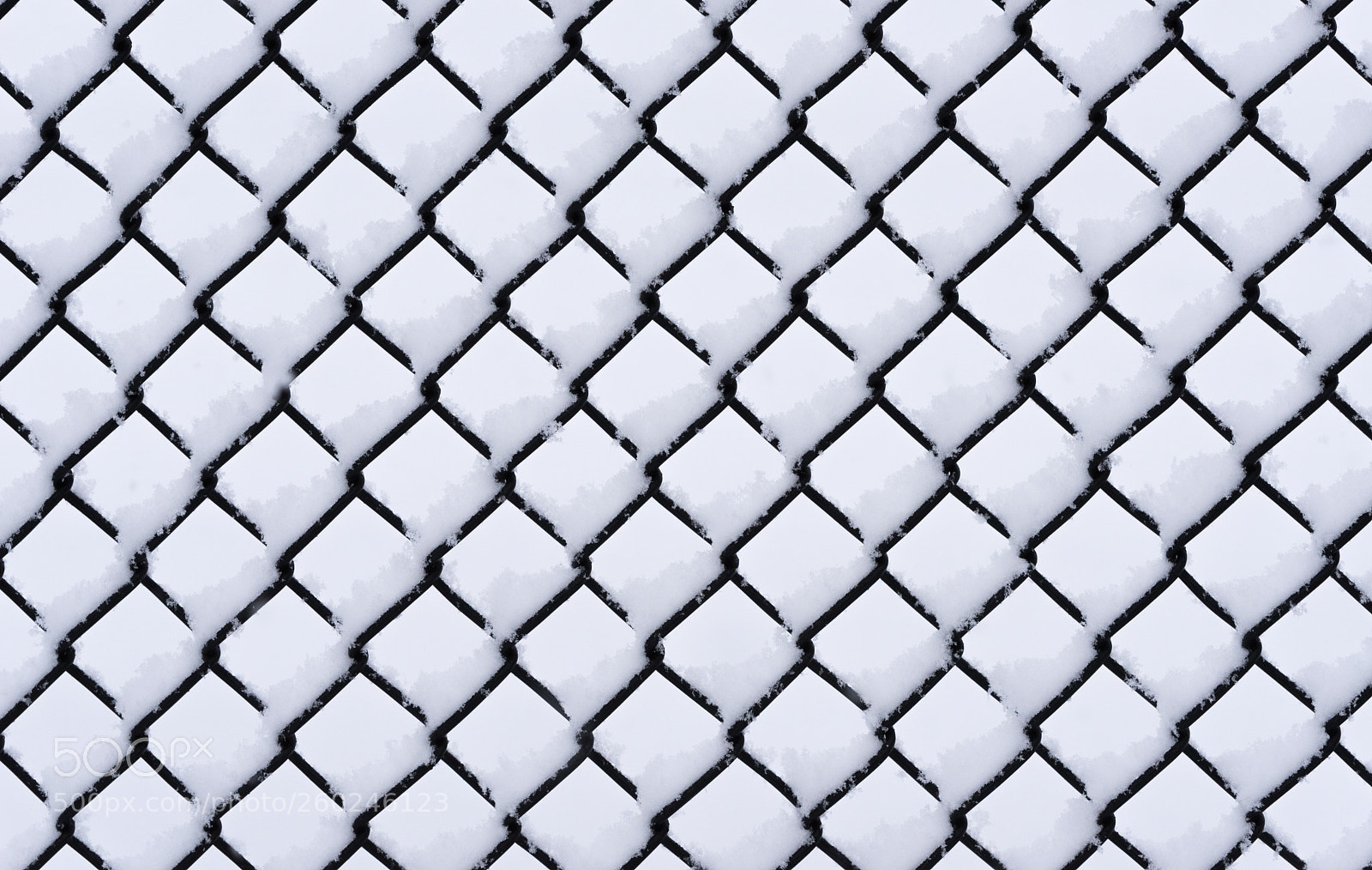 Nikon D750 sample photo. Metal wired fence under photography