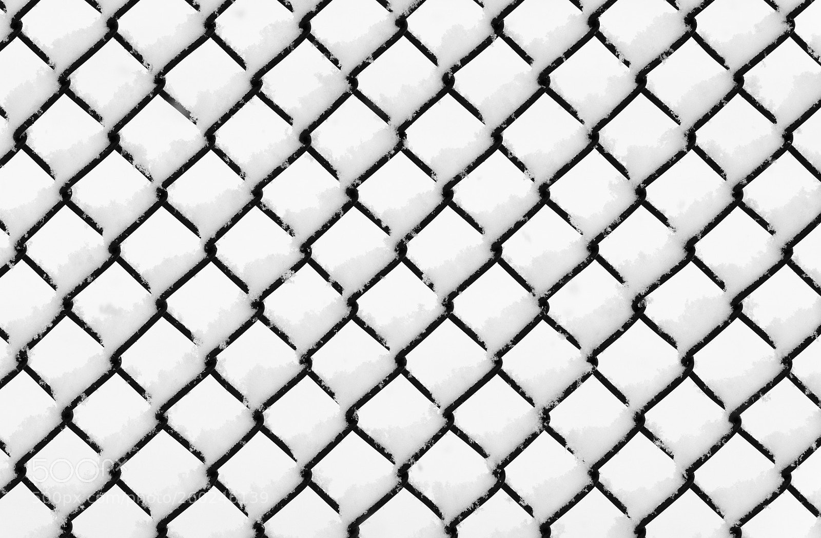 Nikon D750 sample photo. Metal wired fence under photography