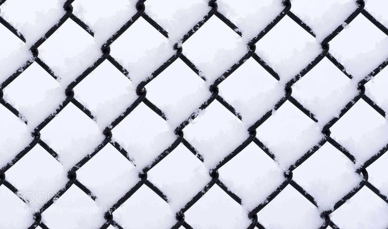 Nikon D750 sample photo. Metal wired fence under photography