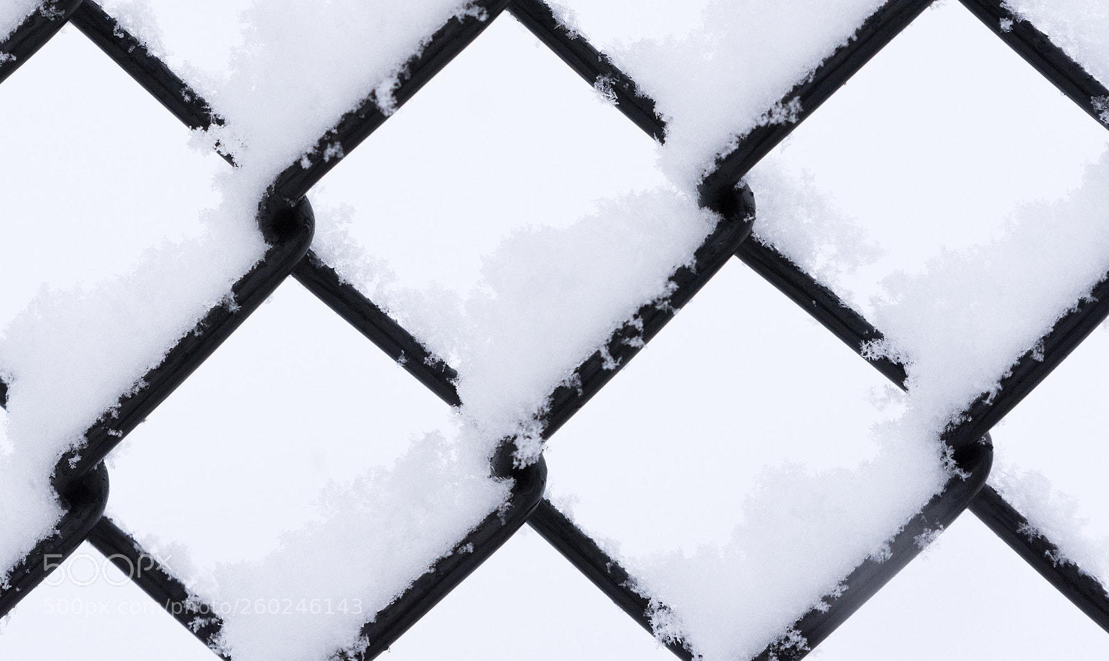 Nikon D750 sample photo. Metal wired fence under photography