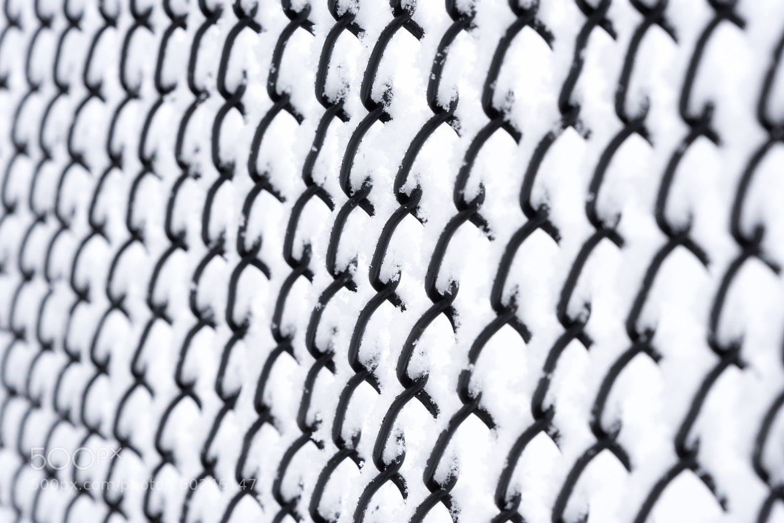 Nikon D750 sample photo. Metal wired fence under photography