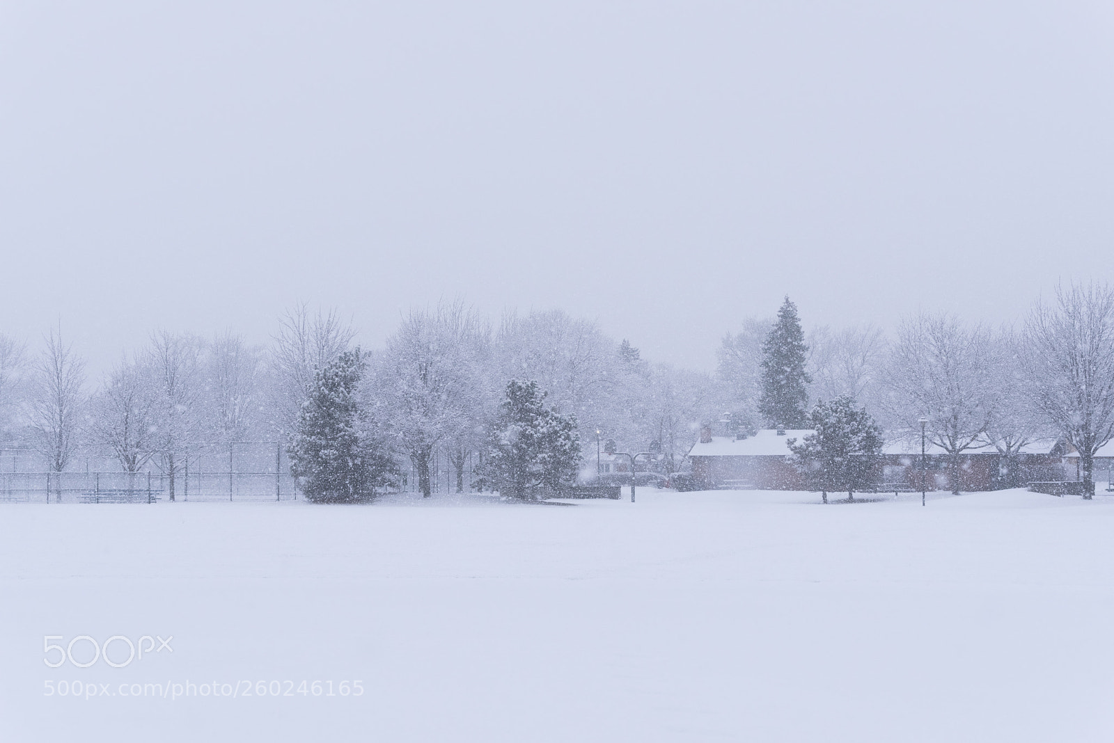 Nikon D750 sample photo. Suburban school field in photography