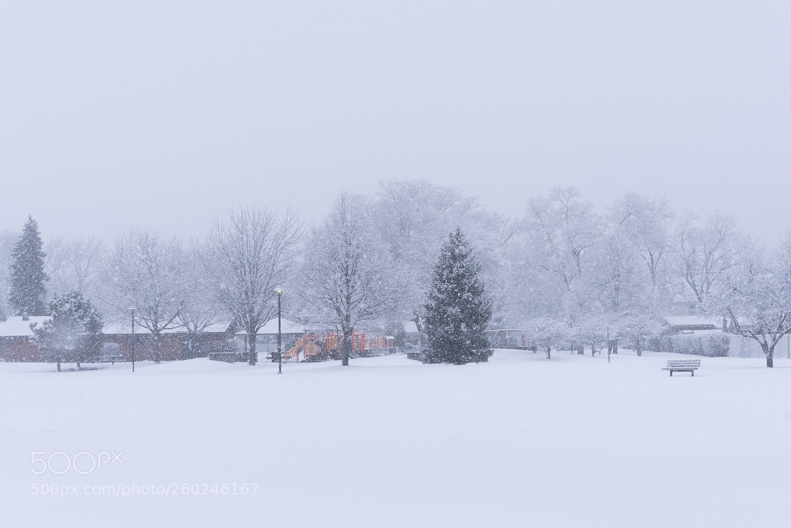 Nikon D750 sample photo. Suburban school field in photography