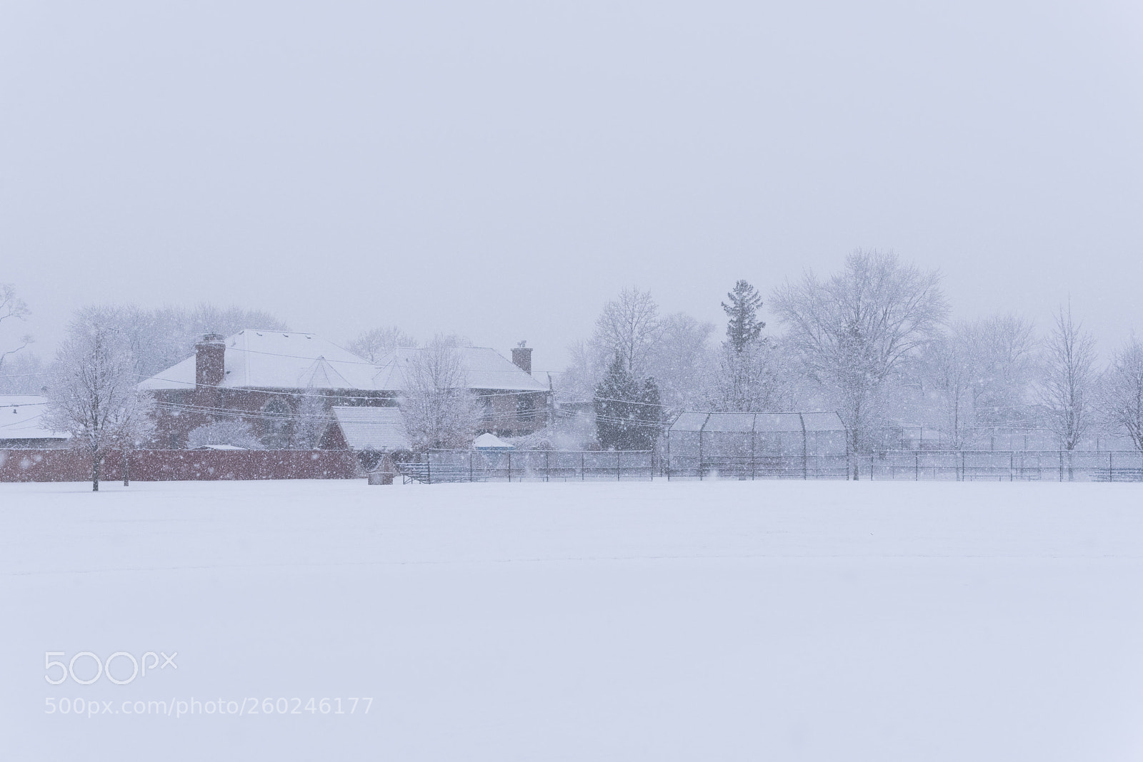 Nikon D750 sample photo. Suburban school field in photography
