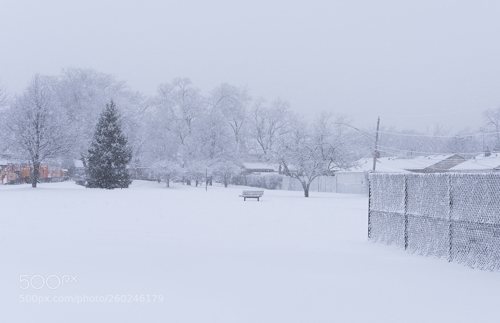 Nikon D750 sample photo. Suburban school field in photography