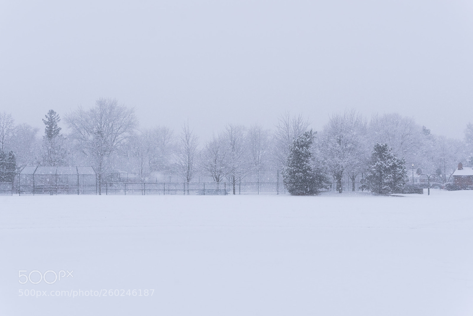 Nikon D750 sample photo. Suburban school field in photography