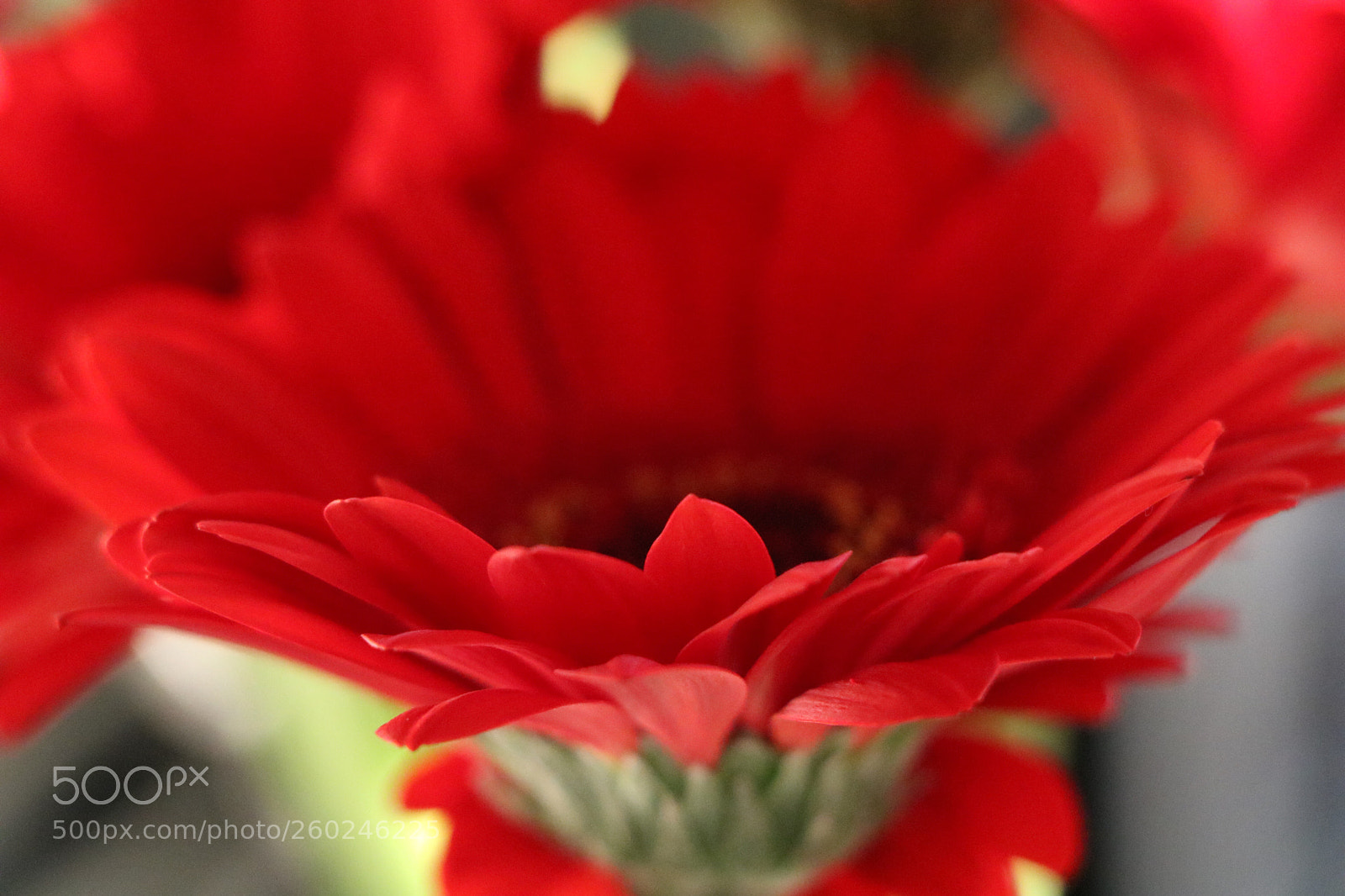Canon EOS 750D (EOS Rebel T6i / EOS Kiss X8i) sample photo. Amazing natural shapes and photography