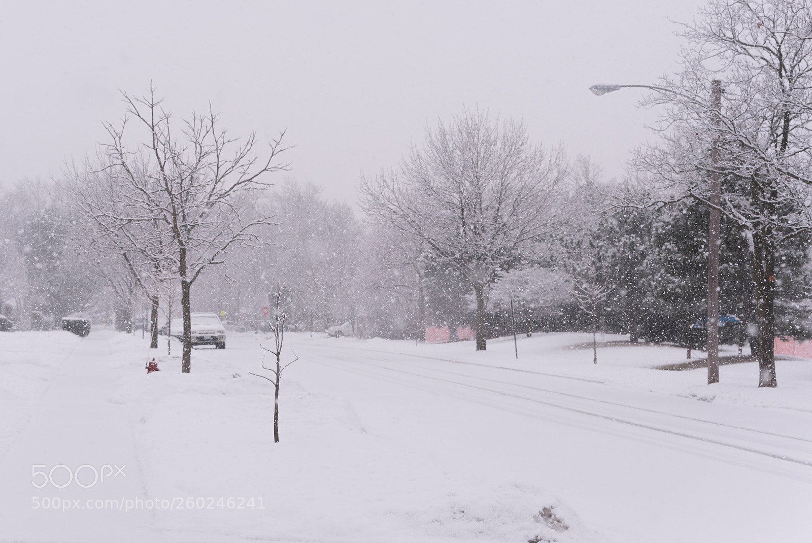 Nikon D750 sample photo. Suburban street covered in photography