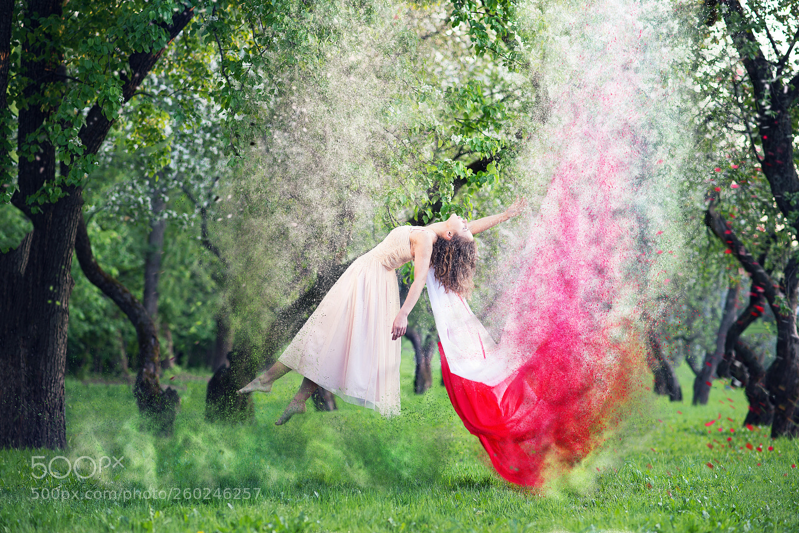 Nikon D600 sample photo. *magic* photography