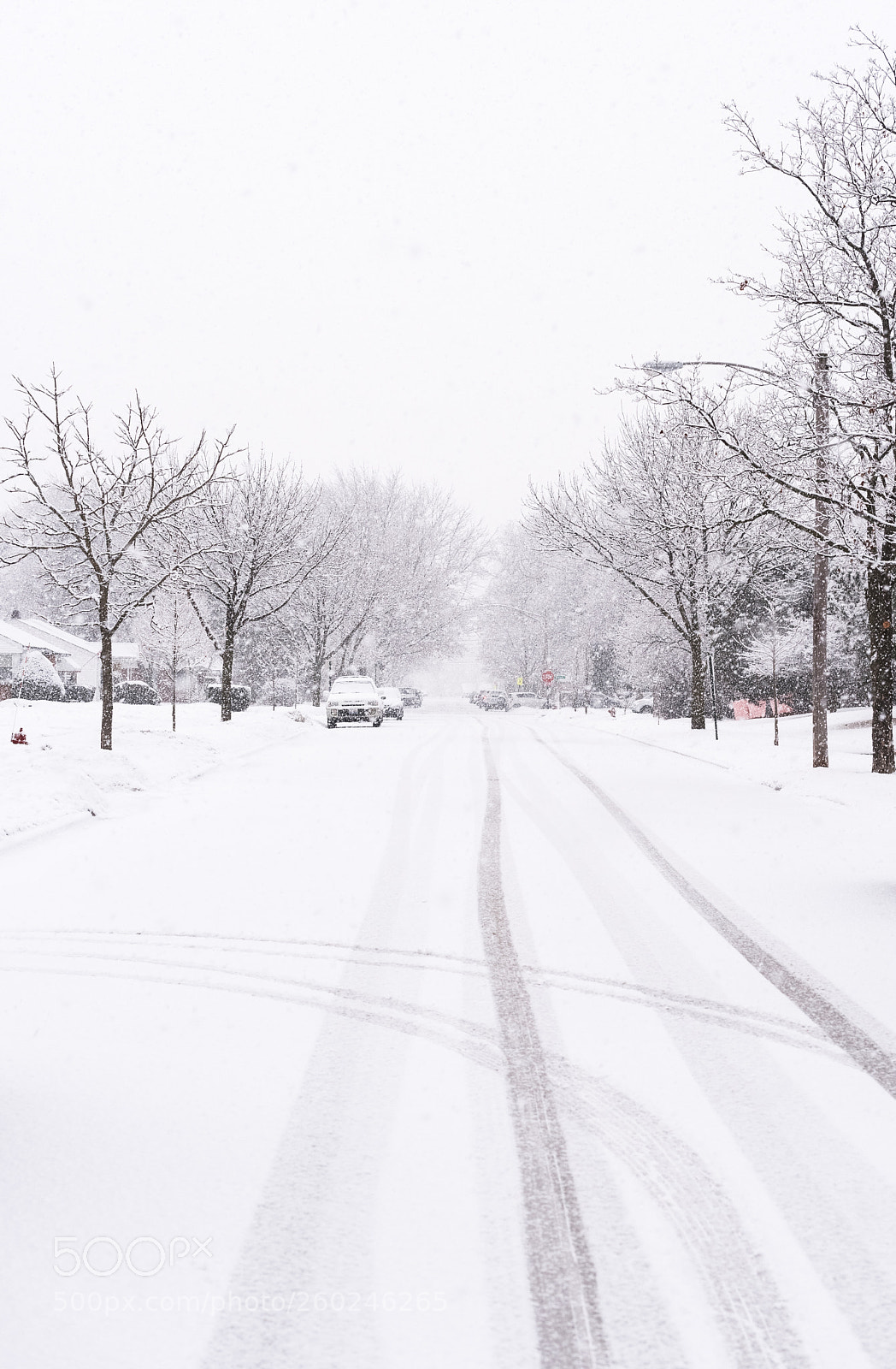 Nikon D750 sample photo. Suburban street covered in photography