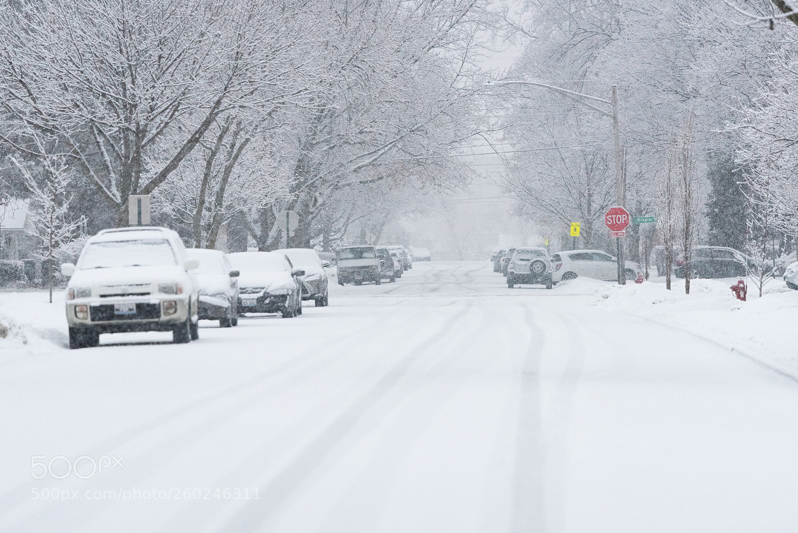 Nikon D750 sample photo. Suburban street covered in photography