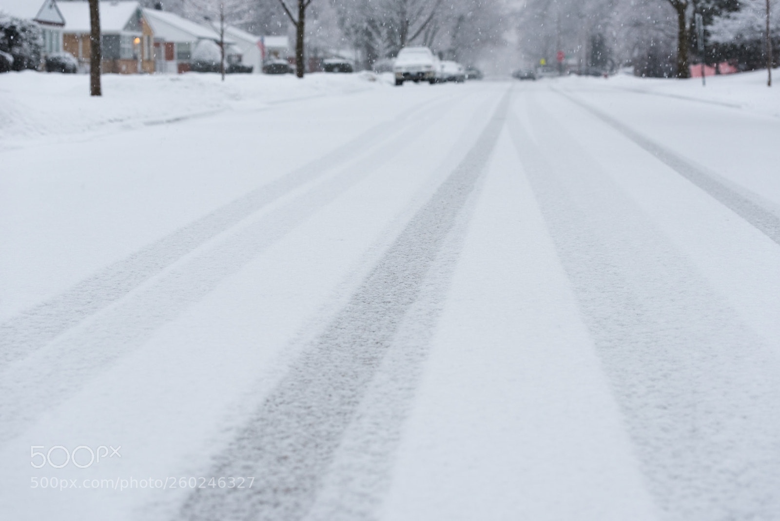 Nikon D750 sample photo. Suburban street covered in photography