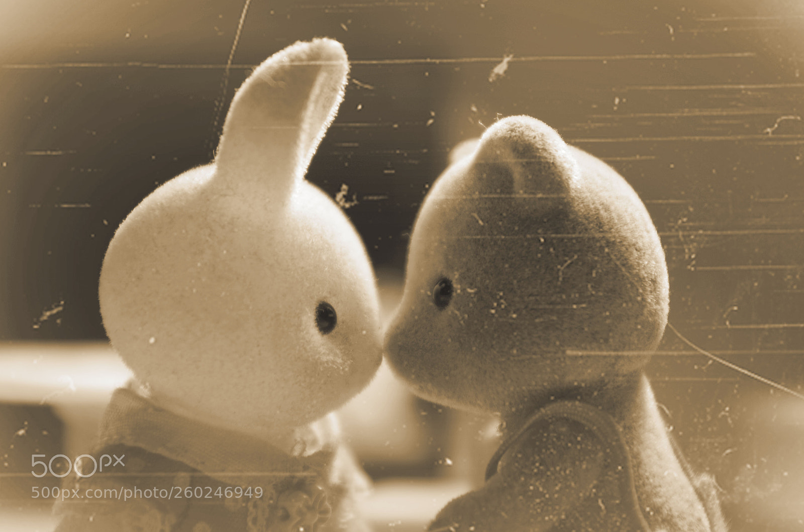Pentax K-50 sample photo. Amore photography