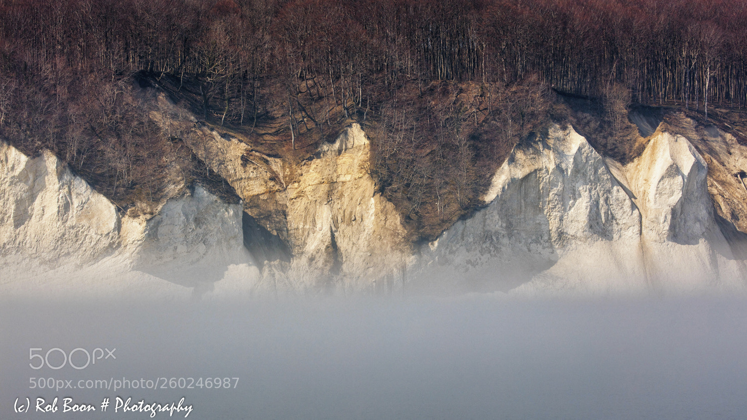 Canon EOS 5DS sample photo. Limestone cliffs jasmund national photography