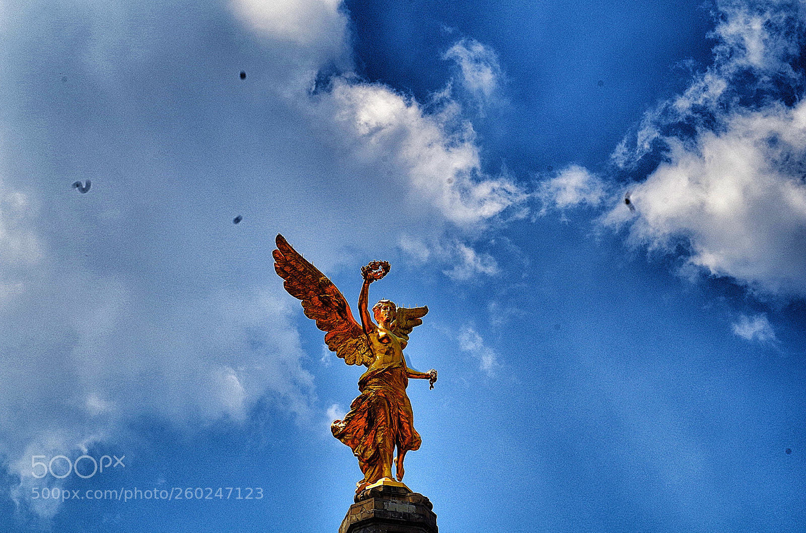 Pentax K-50 sample photo. Angel photography
