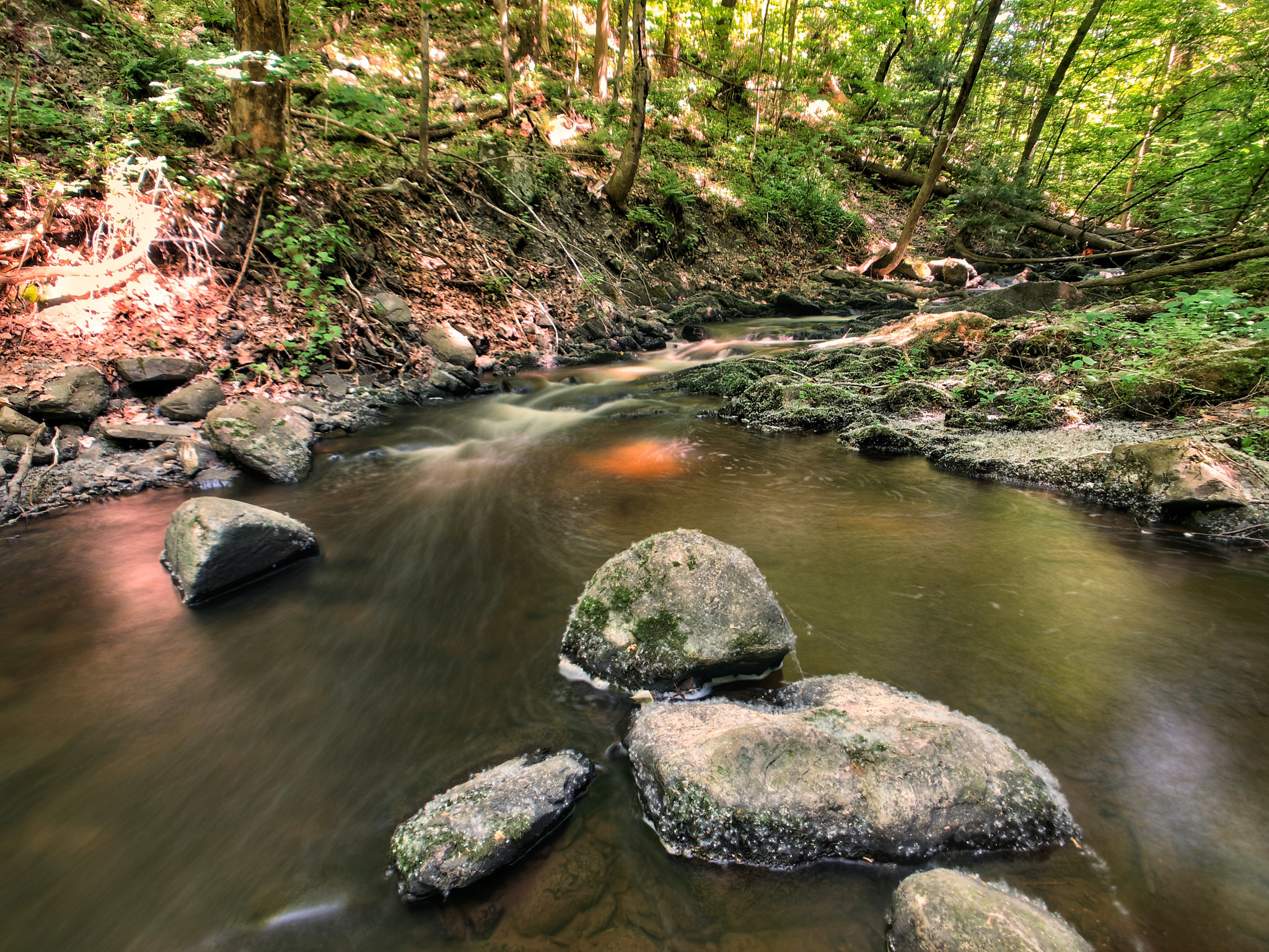 Apple iPhone sample photo. Warm woodland stream photography