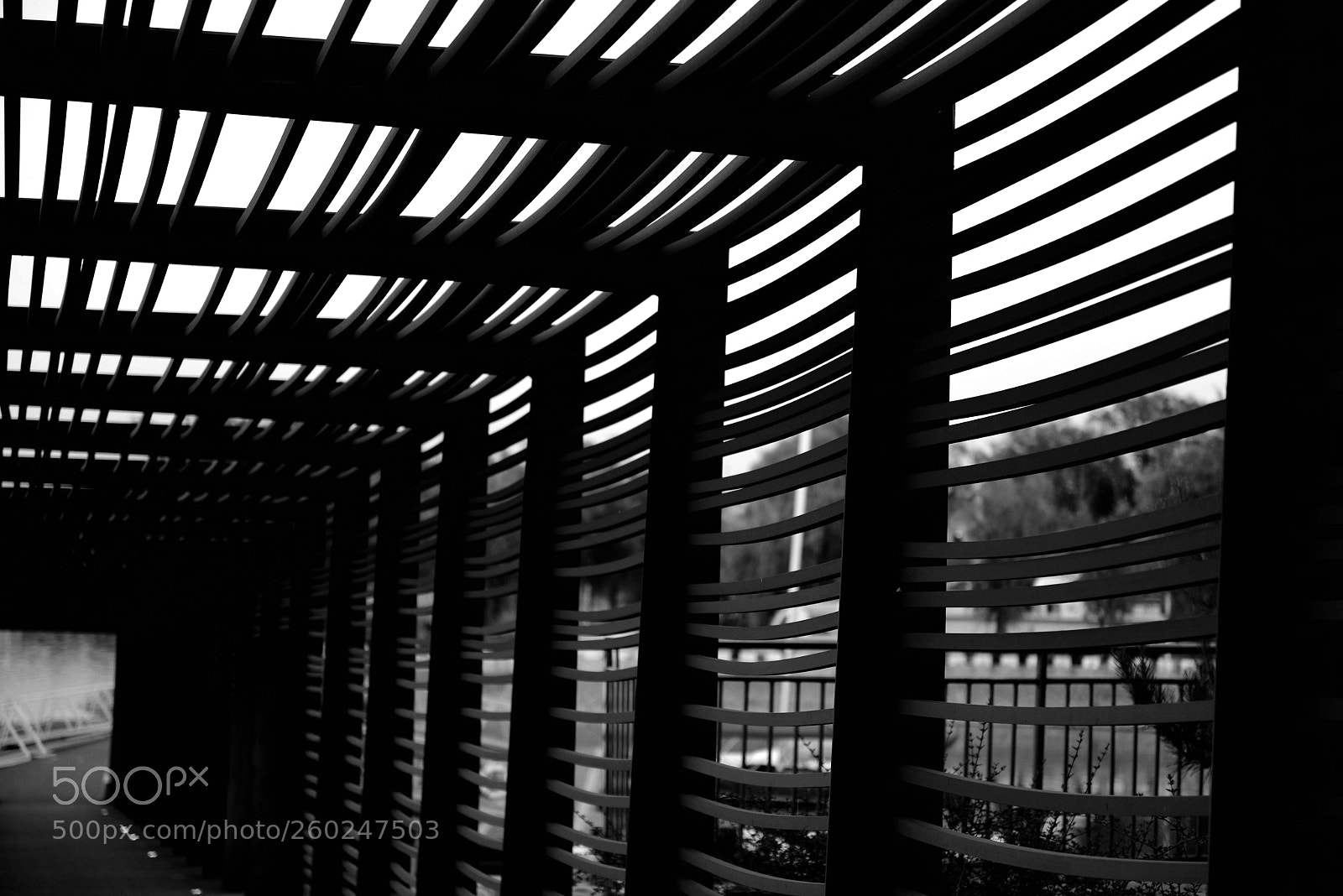 Nikon D800 sample photo. Untitled photography