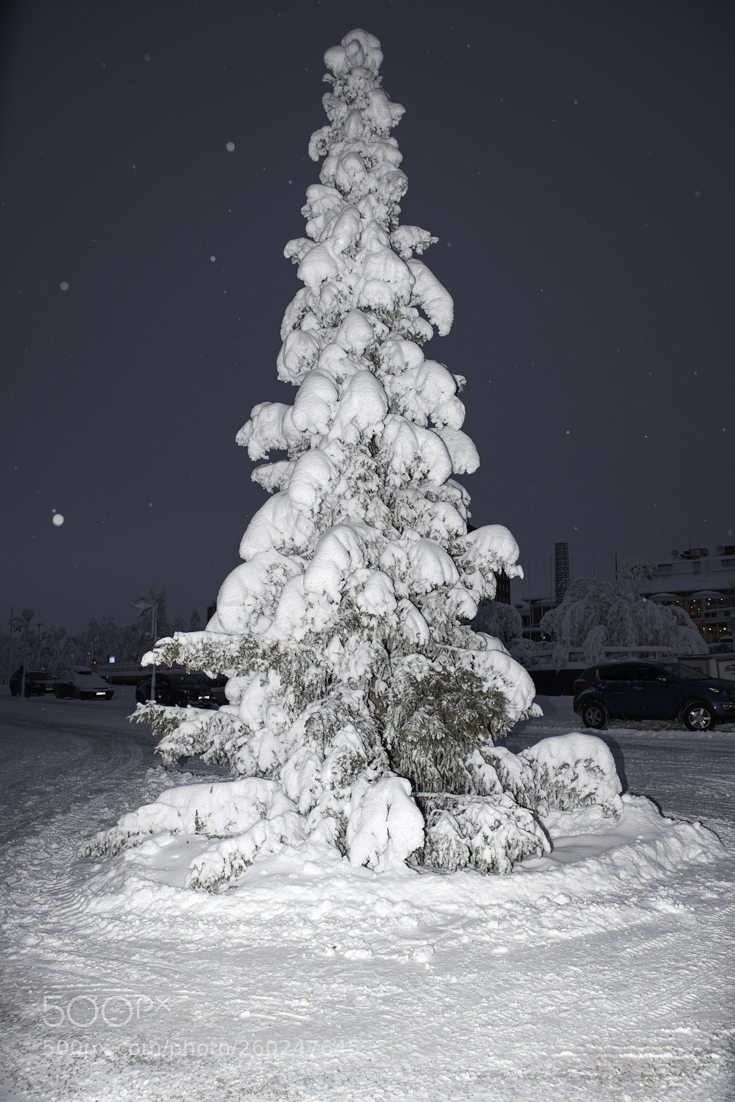 Nikon D810 sample photo. Vinter photography