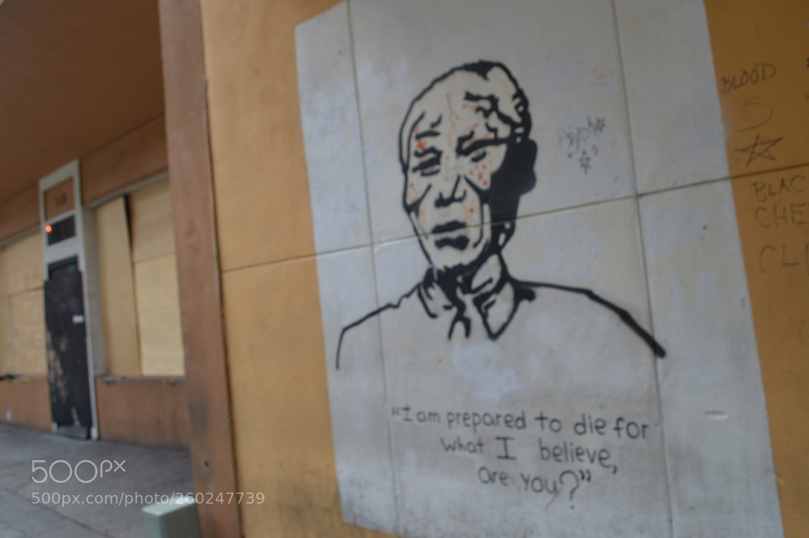 Nikon D3200 sample photo. Mandela effect photography