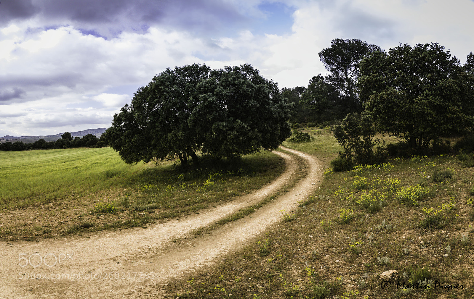 Canon EOS 6D sample photo. The shadow next to photography