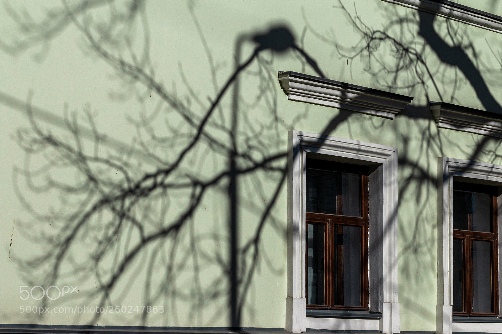 Canon EOS 70D sample photo. Web photography