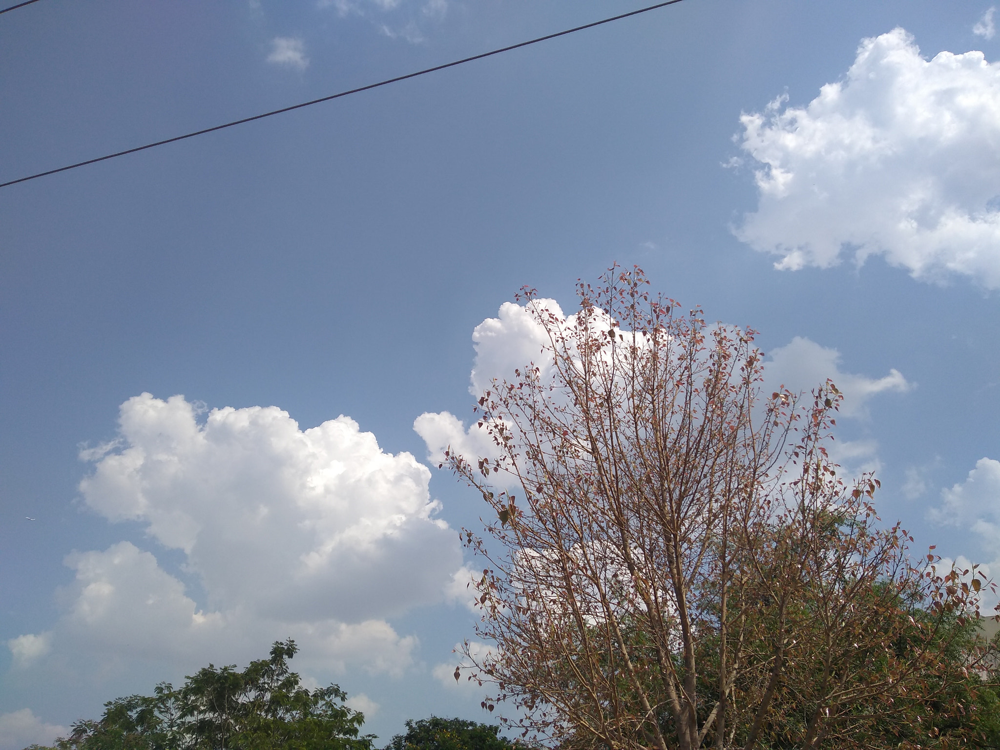 Motorola Moto G (5S) Plus sample photo