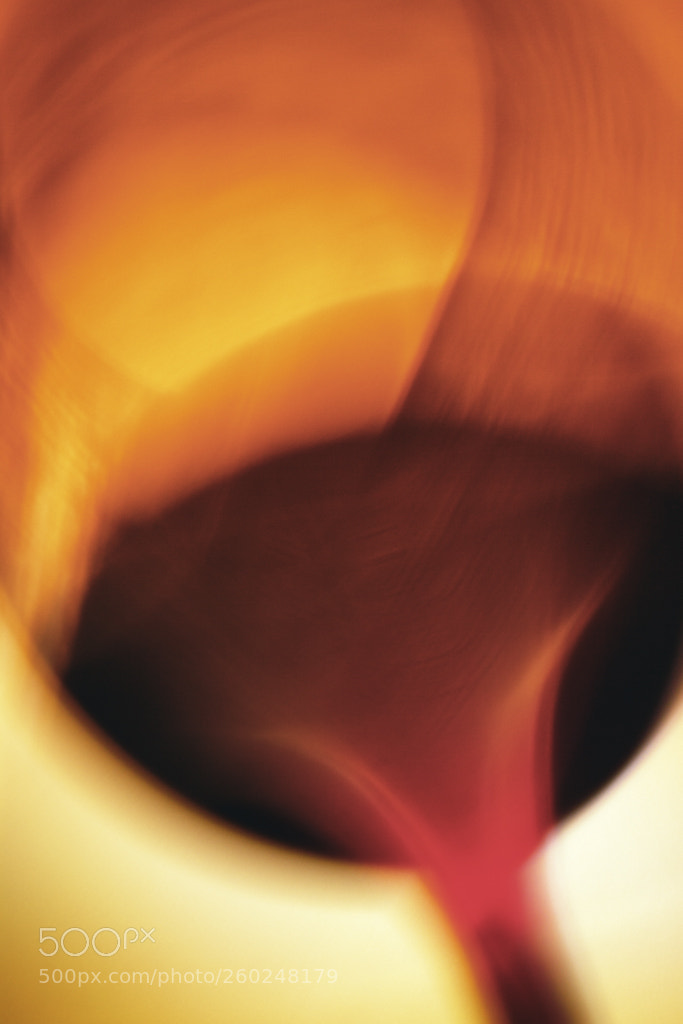Canon EOS 50D sample photo. Tipple photography