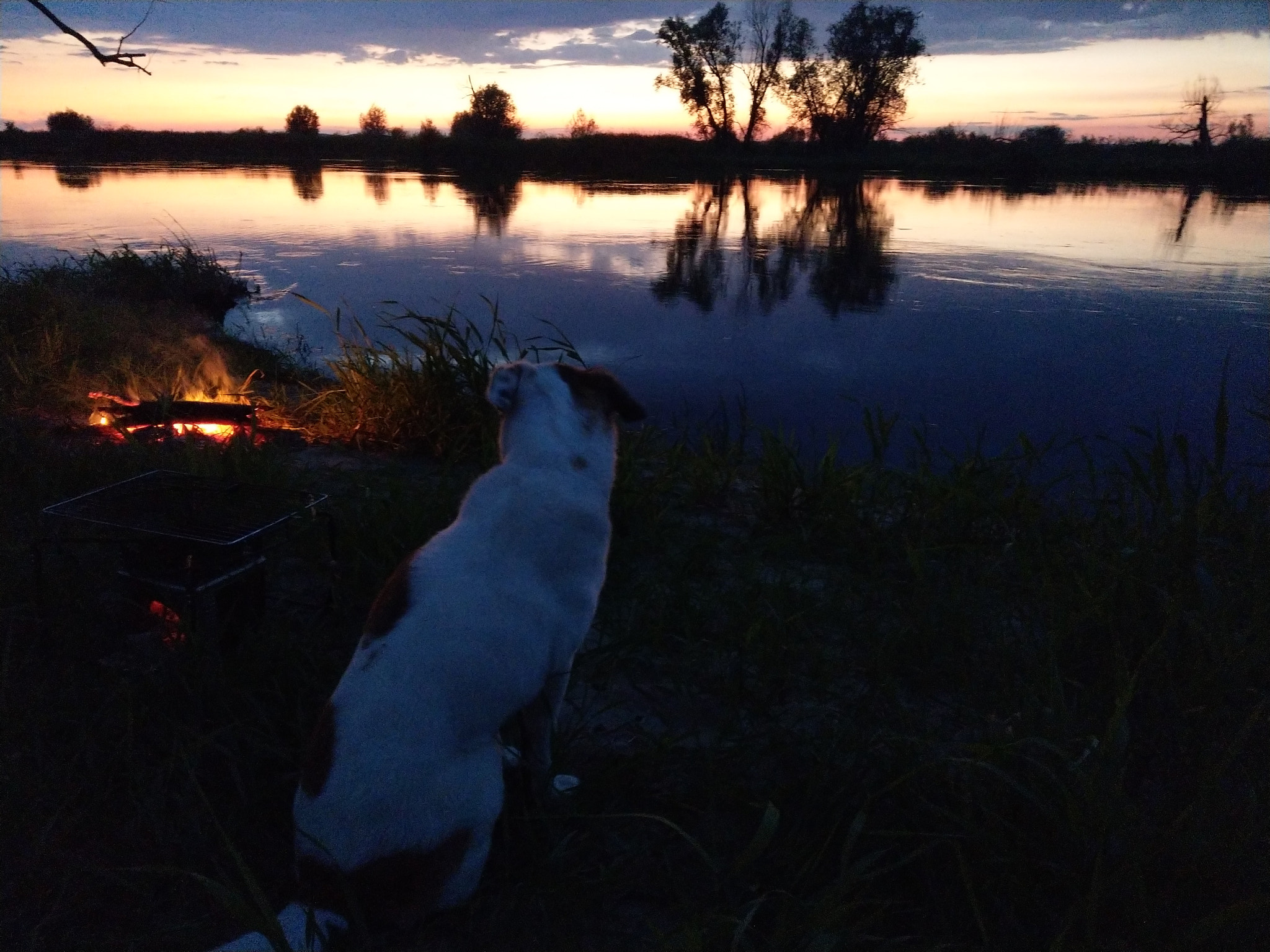 HTC U11 sample photo. Wild, wild poland photography