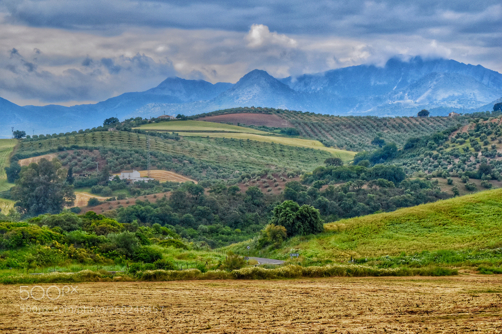 Nikon D5500 sample photo. Spanish hills photography