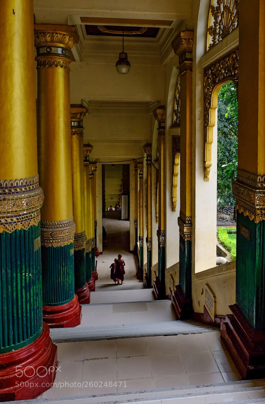 Fujifilm X-T2 sample photo. Untitled photography