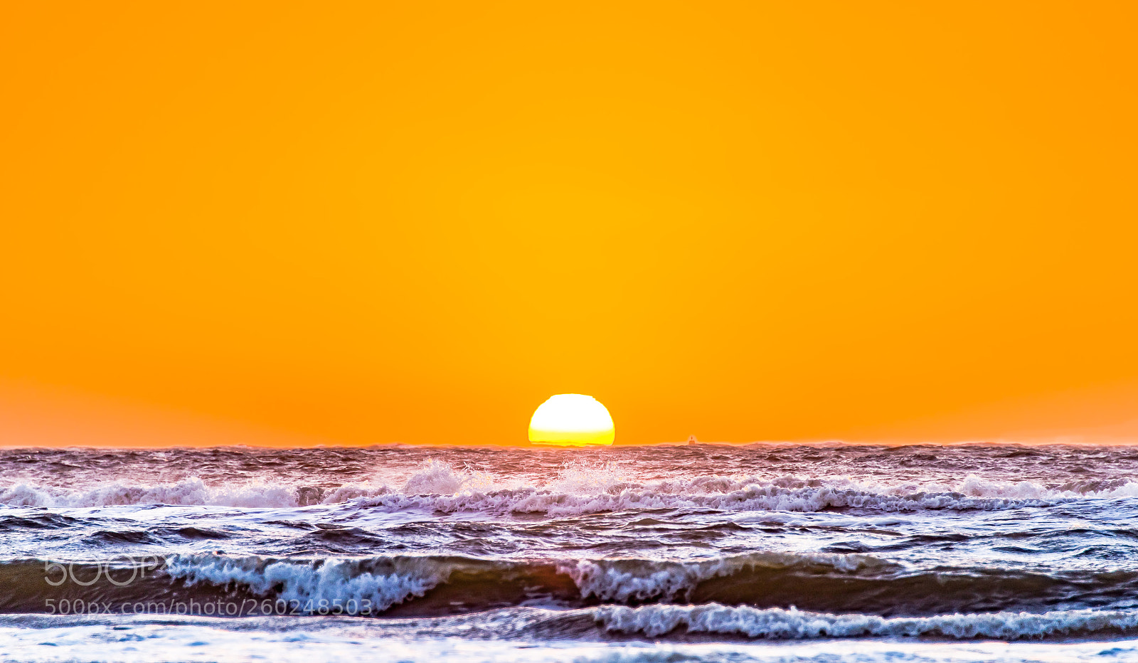 Nikon D810 sample photo. Orange sunset photography
