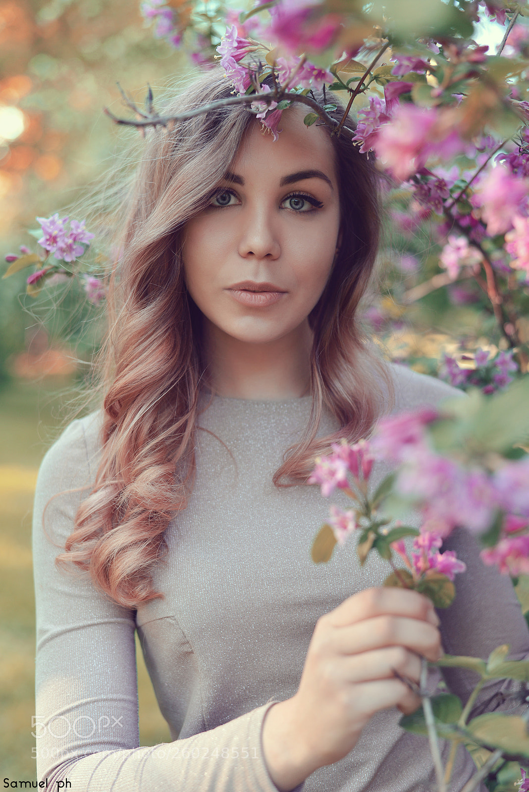 Nikon D600 sample photo. Blossom photography