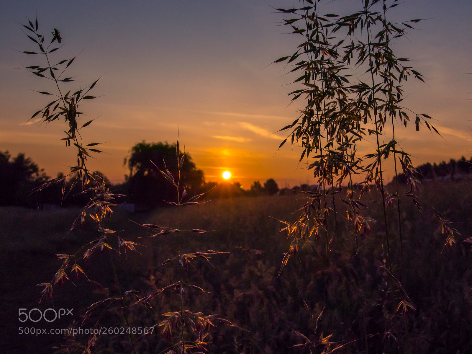 Canon EOS 80D sample photo. Morning hues photography