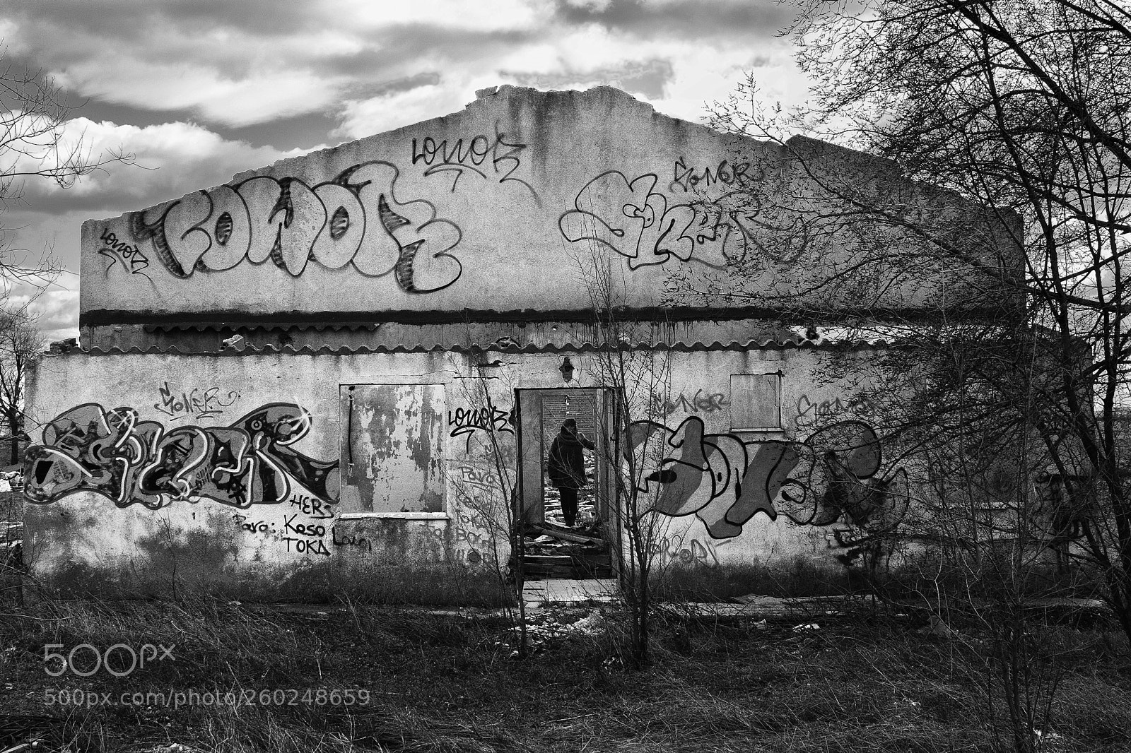 Nikon D300 sample photo. Facade of ruined house photography