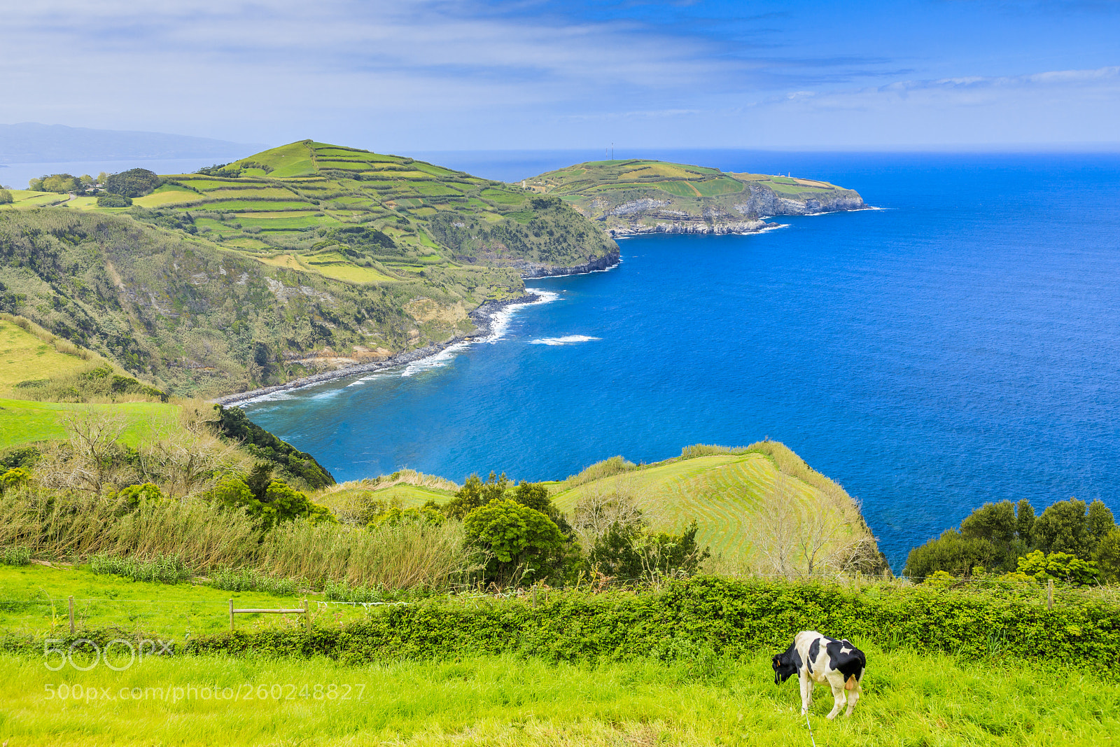 Canon EOS 5D Mark IV sample photo. Açores-são miguel-ribeirinha photography
