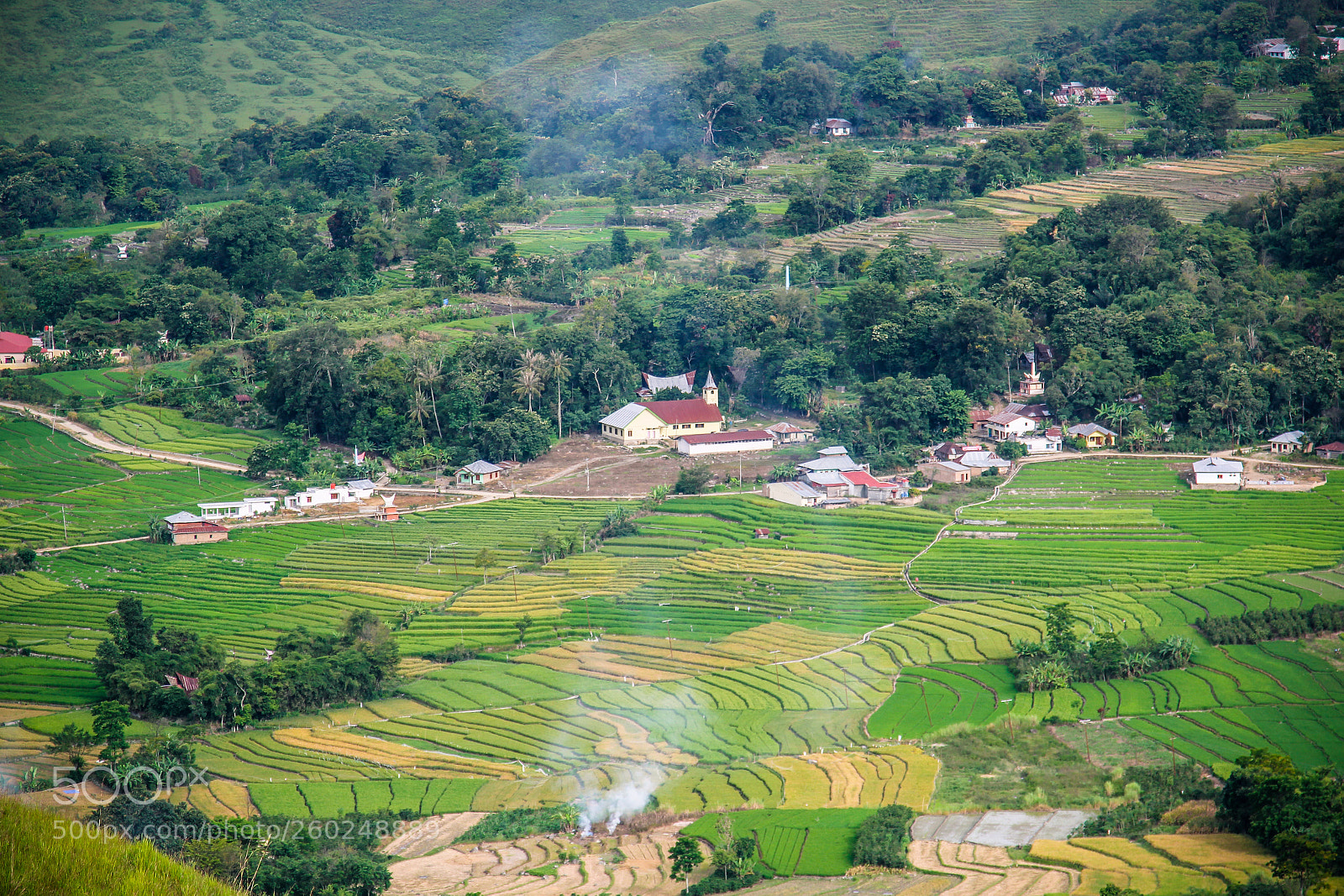 Canon EOS 60D sample photo. View rice terrace photography