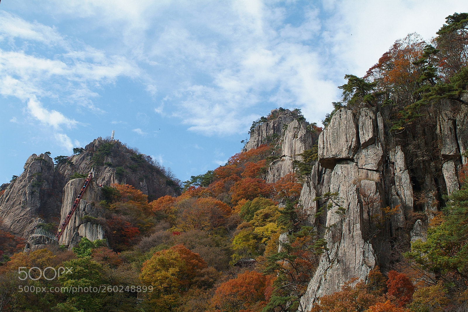 Fujifilm FinePix S3 Pro sample photo. Autumn color in daedun photography