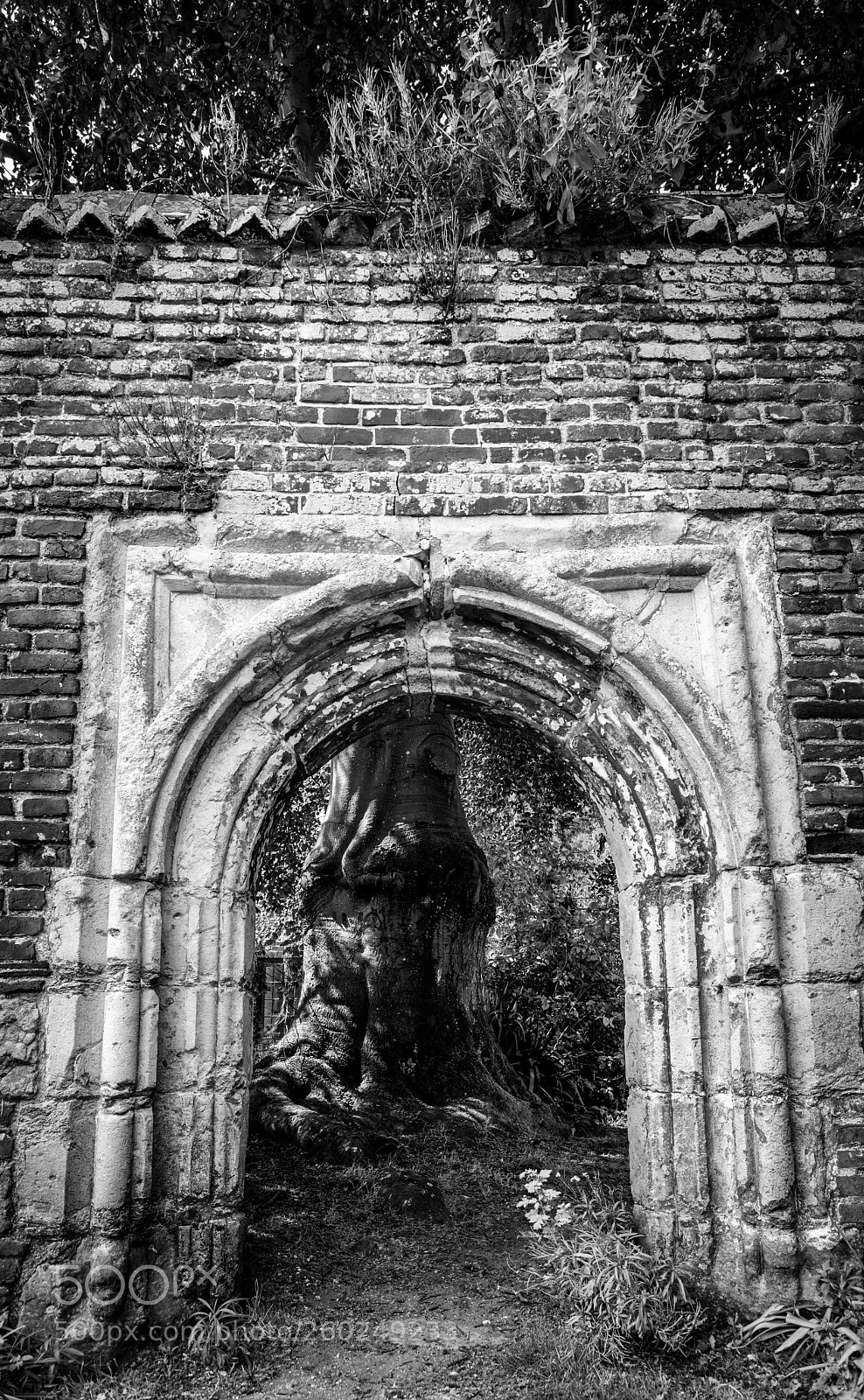 Nikon D3200 sample photo. Arch at the franciscan photography