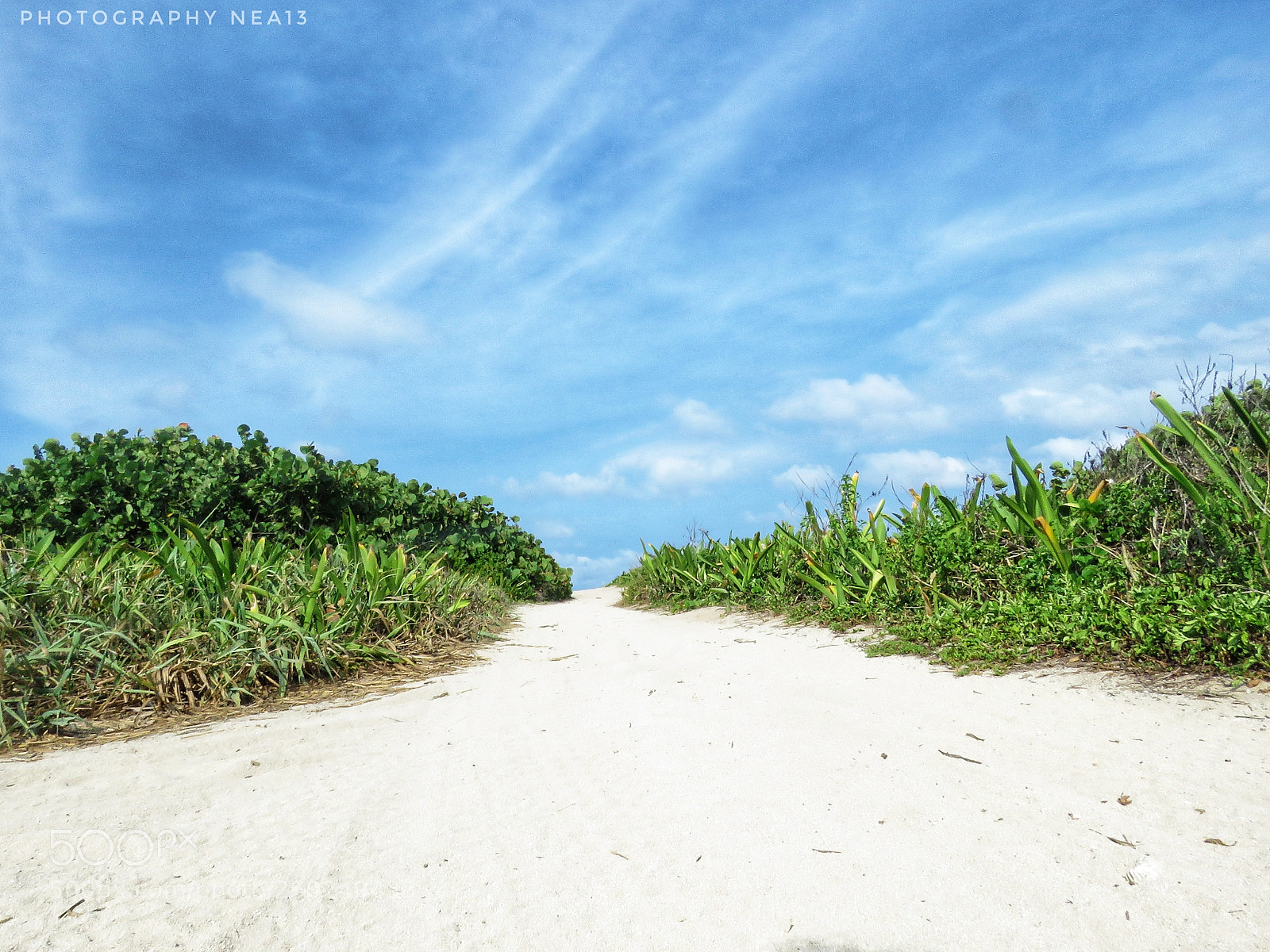 Canon PowerShot SX60 HS sample photo. Utila photography