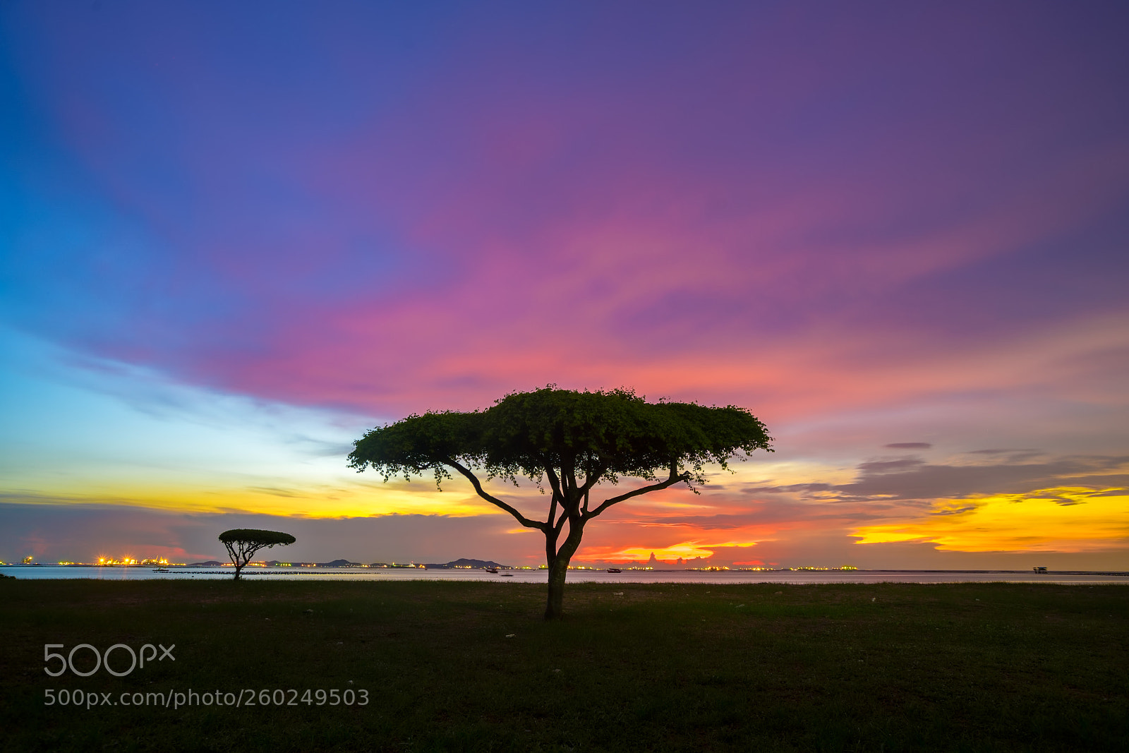 Sony a7R II sample photo. The beautiful twilight with photography