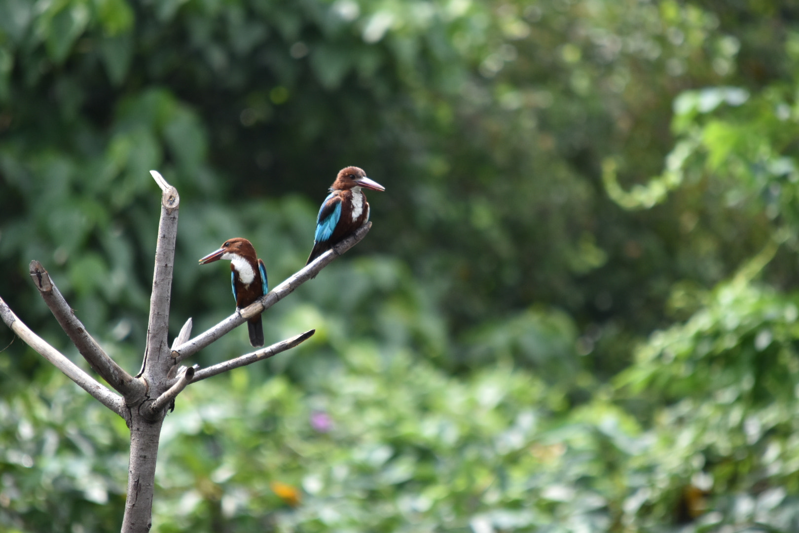 Nikon D3400 sample photo