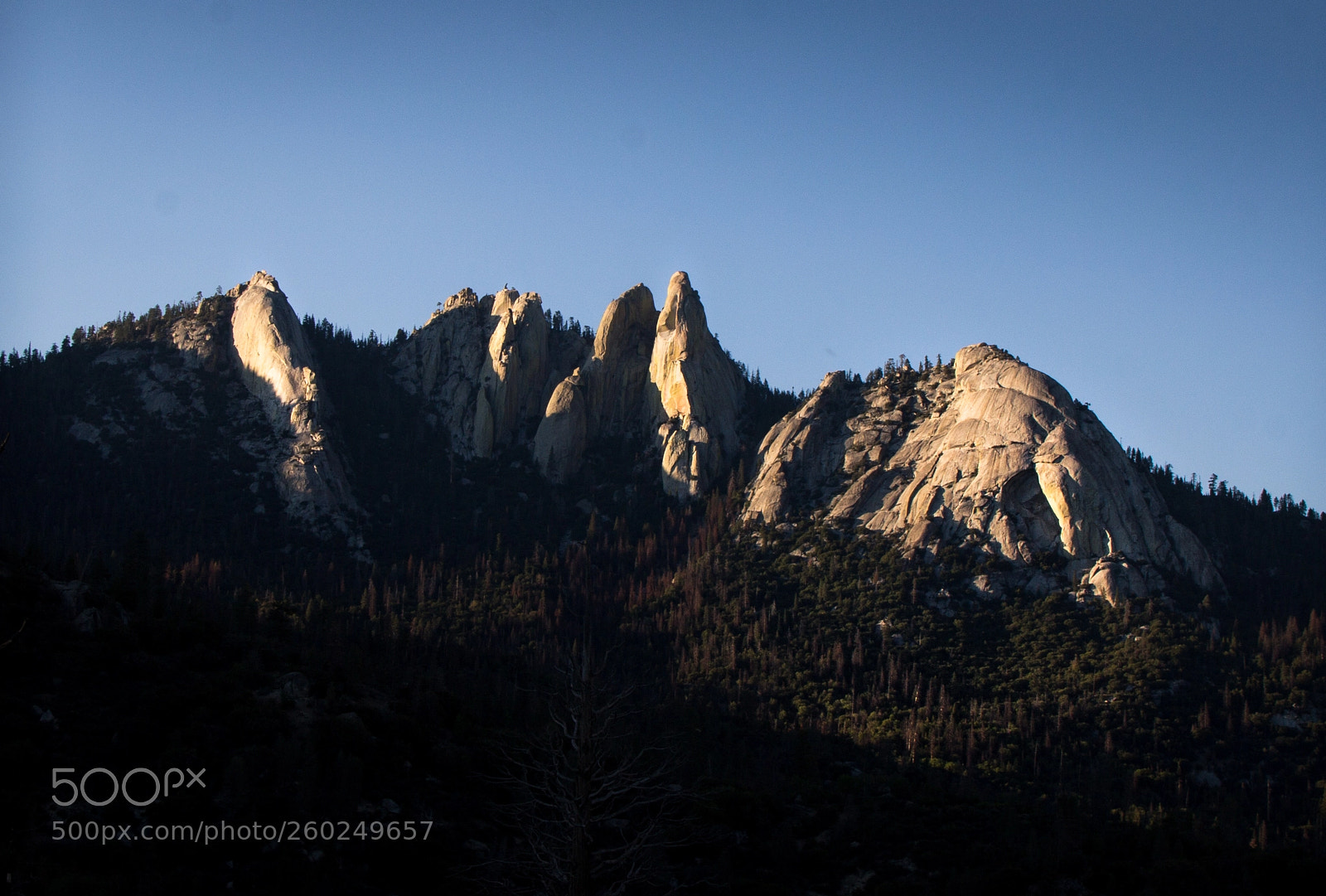 Canon EOS 60D sample photo. The needles, sierra nevada photography