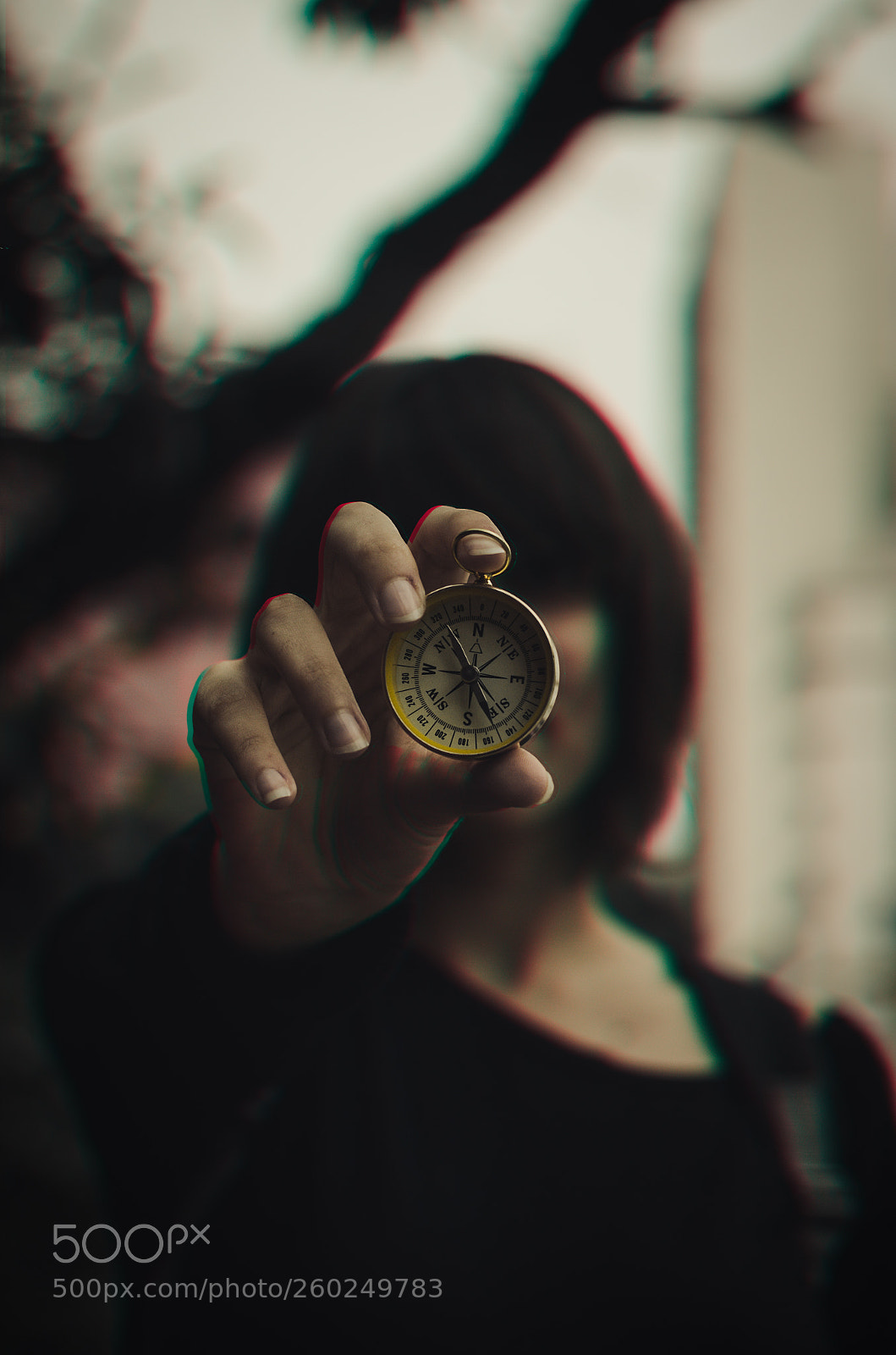 Nikon D5100 sample photo. Alone photography