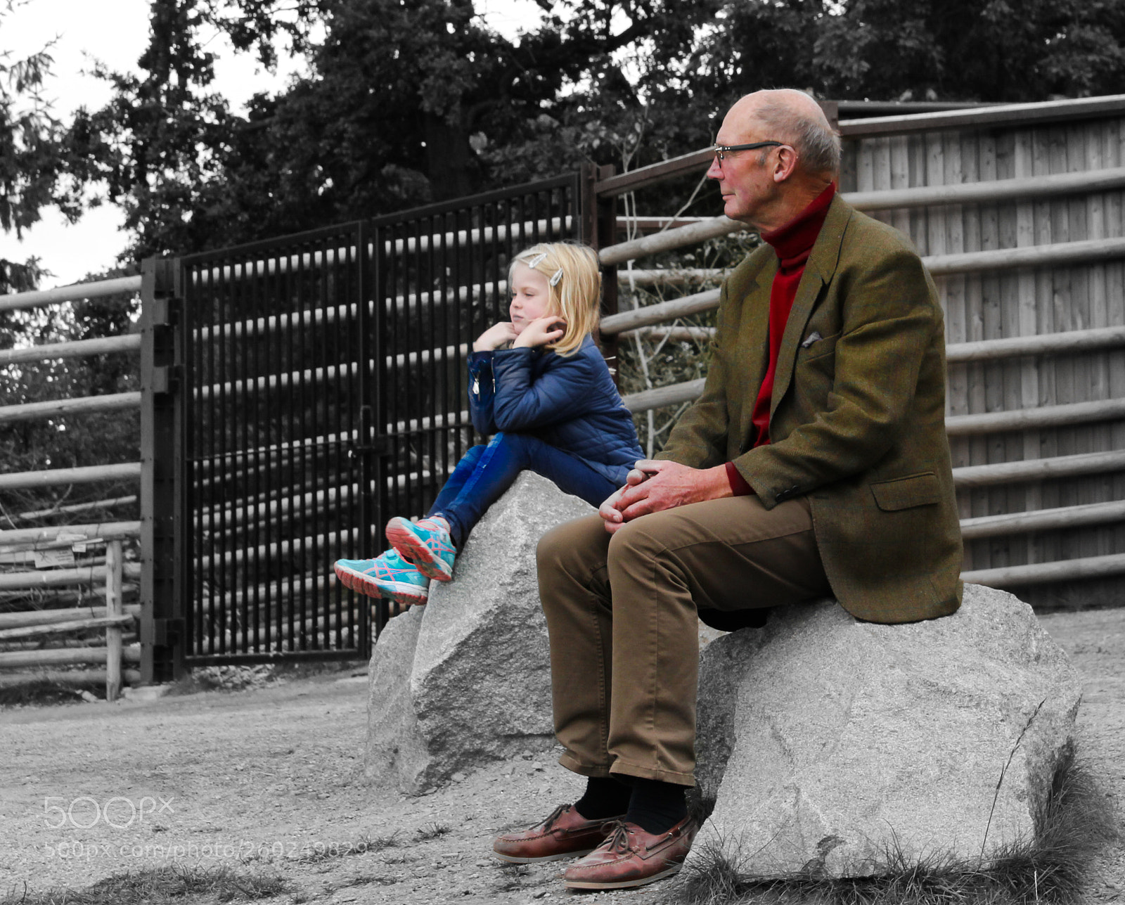 Canon EOS 1200D (EOS Rebel T5 / EOS Kiss X70 / EOS Hi) sample photo. Conversations. photography
