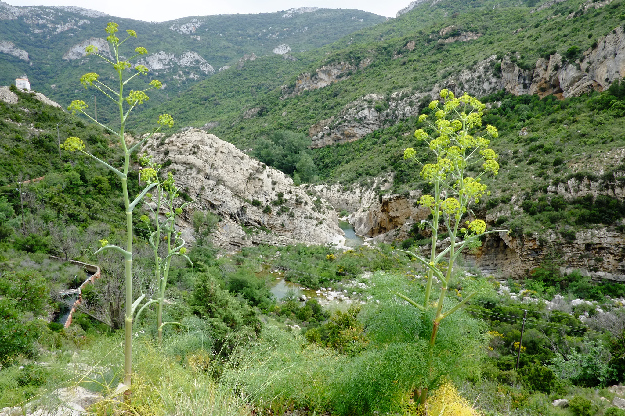Fujifilm X-Pro1 sample photo. Wild corbières  photography