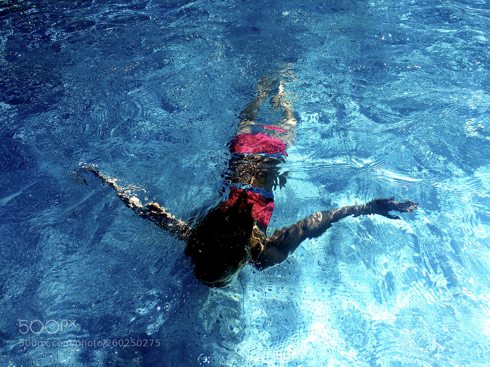 Apple iPhone 6s Plus sample photo. Under water photography