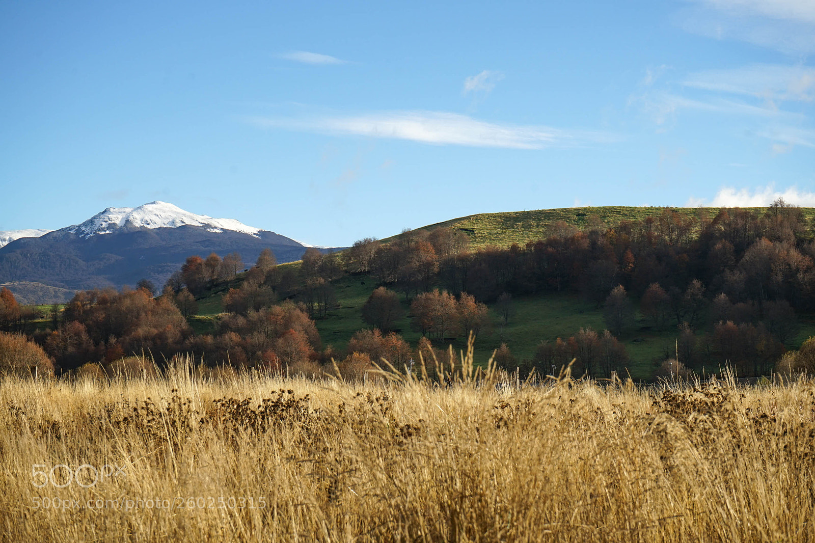 Sony a7 II sample photo. Dsc photography